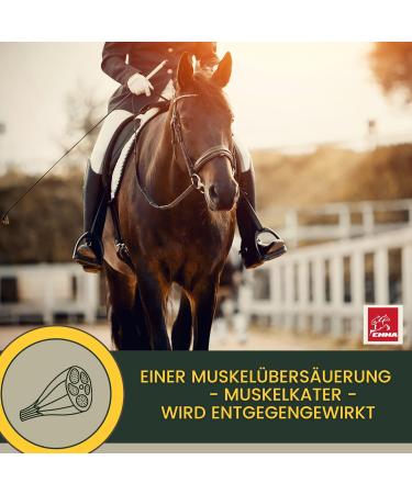 Premium Vitamin Paste for Horses | Amino Acids & Energy Booster | Muscle Regeneration & Performance | 3x30ml - Buy Online on SooperMarket.com