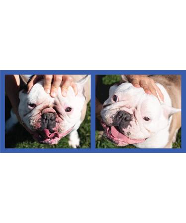 Squishface Wrinkle Paste + Wrinkle Wipes Bundle with Silicone Applicator - Gentle & Effective Dog Face Cleaning Set for All Breeds - Buy Online on SooperMarket.com