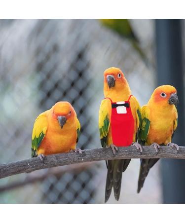 Iplusmile Parrot Suit & Diaper - XL Bird Flight Suit for Nymphic Birds & Ducks | Comfortable & Stylish Pet Bird Accessories - Buy Online on SooperMarket.com