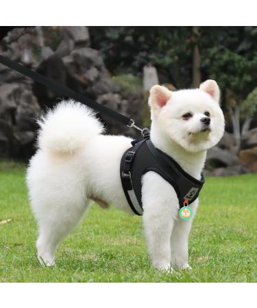 Adjustable Cat Leash Set with Reflective Vest for Kittens & Small Dogs - Polyester Black (Large) | International Shipping - Buy Online on SooperMarket.com