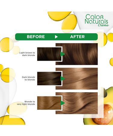 Garnier Naturals Blonde Powder Permanent or Demi-Permanent Hair Color 100 g for Women - Buy Online on SooperMarket.com