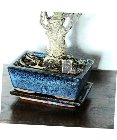 BESPORTBLE 2pcs Pet Water Feeder Ants Feeding Bowl Ants Nest Water Feeder Ants Water Feeding Plastic - Buy Online on SooperMarket.com