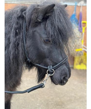 Rope headcollar with Reins for use of Bitless Horse Riding Full to Mini Shet 5 Colours (Black Mini Shetland) Mini Shetland Black