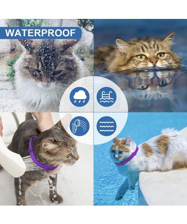 2 Pack Cat Flea Collar | 8 Months Protection | Repels Fleas & Ticks | Safe & Effective Prevention - Buy Online on SooperMarket.com