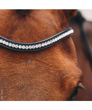 Schockem hle EQUITUS BETA Anatomical Special Bridle - Black Silver VB | Premium Equestrian Gear for International Shipping - Buy Online on SooperMarket.com