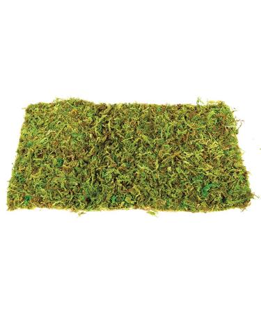 Komodo Small Natural Moss Mat for Reptiles - 2 Count - S