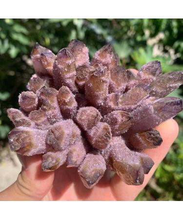 Natural Purple Amethyst Cluster Crystal Quartz Decorative Stone kaixun (Size : 500-550g)