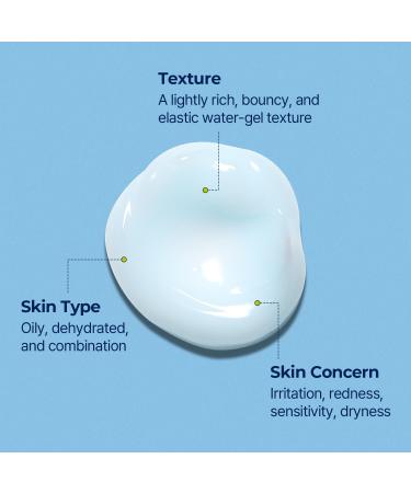 Torriden DIVE-IN Hyaluronic Acid Soothing Cream 3.38 fl oz | Best Facial Moisturizer for Sensitive Dry Skin | Fragrance-free Vegan Cruelty-Free - Buy Online on SooperMarket.com