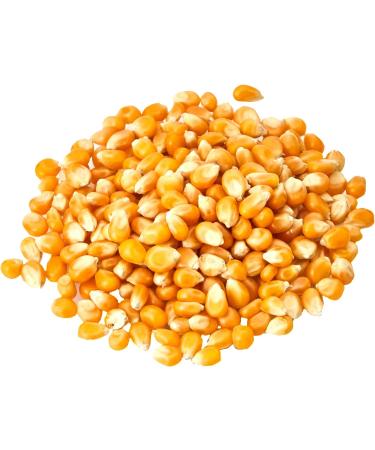 Old India Popping Corn 2Kg - Premium Quality Popcorn Kernels - Pack of 1 - Buy Online on SooperMarket.com