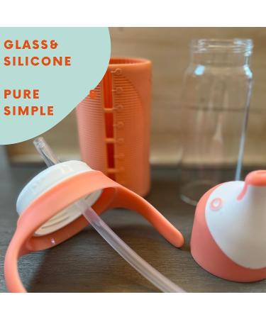 Set of 2 Glass Sippy Cups for Toddlers - The Luca | Mint Green & Indigo Purple | 8oz Spill-Proof Straw Cup | Silicone Straw | BPA-Free - Buy Online on SooperMarket.com