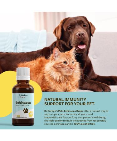 Dr Corbyn Pets Echinacea Drops 50ml | Immunity Support for Dogs & Cats | Natural Echinacea Supplement - Buy Online on SooperMarket.com