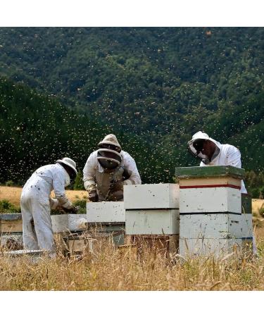Taylor Pass Honey Co. Wildflower & Manuka Honey | Sustainable New Zealand Honey | 250g - Buy Online on SooperMarket.com