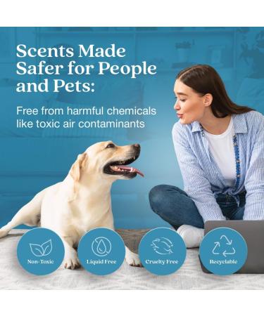 Enviroscent Non-Toxic Air Freshener | Spring Water & Lotus Plug-In | 45+ Day Lasting Home Fragrance | Essential Oil Refillable Set - Buy Online on SooperMarket.com