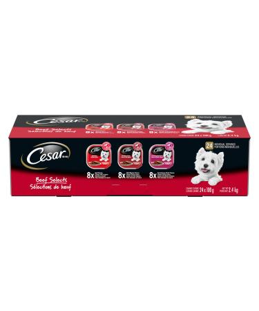 CESAR Classic Loaf in Sauce Adult Wet Dog Food Beef Selects Variety Pack 24x100g Trays Dog Food Beef Selects Variety Pack 100 g (Pack of 24)