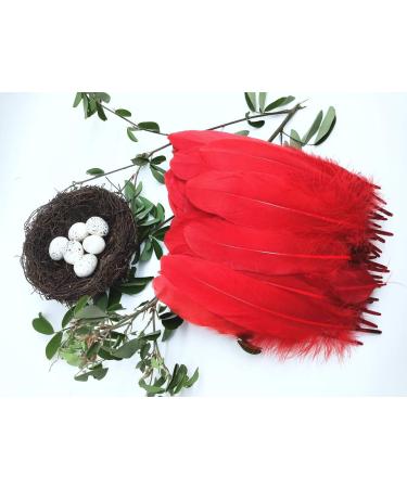 100pcs Red Goose Feathers 6-8 Inch - Ideal for Crafts, Wedding Decor, Clothing Accessories - Buy Online on SooperMarket.com