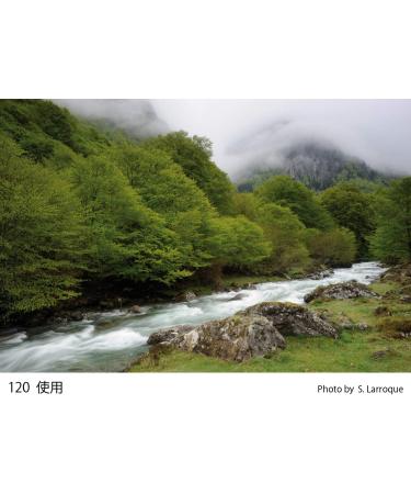 Cokin A120 G1 Grey Graduated Filter | Creative Photography Filter - Buy Online on SooperMarket.com
