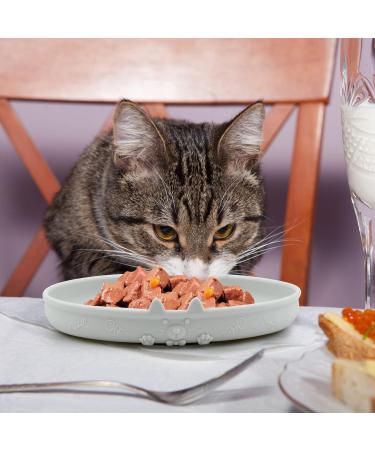 Cat Bowl Silicone Cat Feeding Bowl Cat Water Bowl Eco Friendly Cat Food Bowl Cat Milk Dish Pet Feeding Bowl Flat Bowls for Kittens and Small Animals Wide Cat Food Water Dish (Grey) - Buy Online on SooperMarket.com