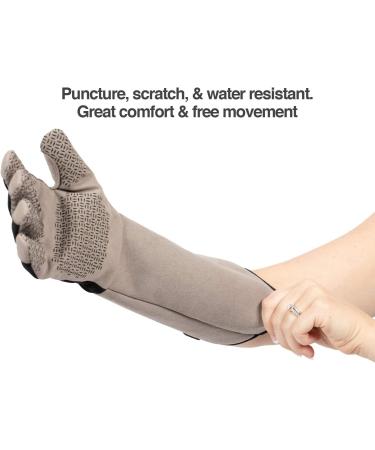 PetFusion Multipurpose Pet Glove for Grooming, Vet Trips & Handling - Medium, Grey - Buy Online on SooperMarket.com