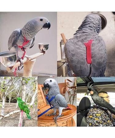 Vreplrse Adjustable Bird Flight Dishes & Easy-to-Wear Parrot Leash - Perfect Gift for Parrot Owners | International Shipping - Buy Online on SooperMarket.com