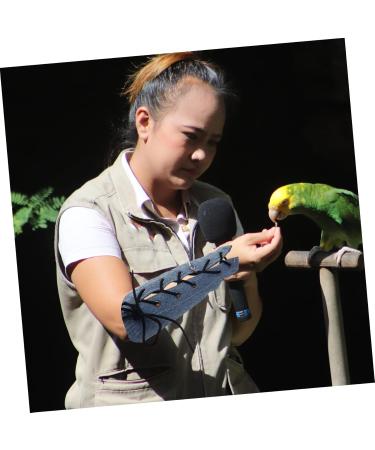 HAPINARY Parrot Arm Cover Bird Training Pad Pet Shoulder Pad Bird Shawl Bird Supplies Cotton 25x11cm Blue - Buy Online on SooperMarket.com