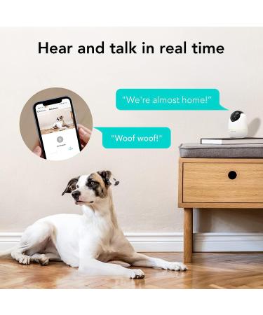 Netvue Indoor Camera - 1080P FHD Enhanced Security Camera with AI, Night Vision, 2-Way Audio - Ideal for Pet, Baby, Nanny - WiFi Home Camera with Cloud Storage - Black - Buy Online on SooperMarket.com