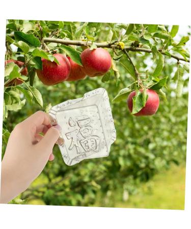 SUPVOX 2pcs for Growing Grow Tools Growth Shaped Forming Reusable Shape Fruit Shaping Plastic - Buy Online on SooperMarket.com