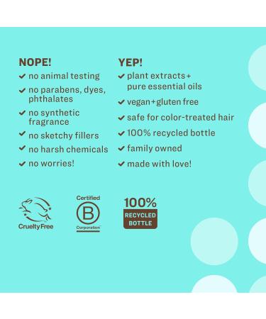 Everyone Hair Care Dreamy Shampoo - Coconut & Lemon | Gentle Cleansing Moisturizing Sulfate & Paraben Free | 12 fl oz - Shop Internationally - Buy Online on SooperMarket.com