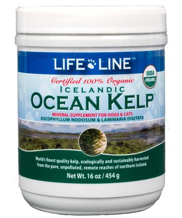 Life Line Pet Nutrition Organic Ocean Kelp Supplement for Skin & Coat, Digestion in Dogs & Cats,16oz, 20101