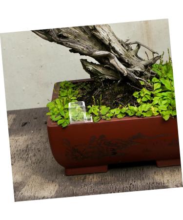 BESPORTBLE Pet Water Feeder Ants Waterer for Garden Ants Nest Water Feeder Ants Farm Water Feeders Plastic - Buy Online on SooperMarket.com
