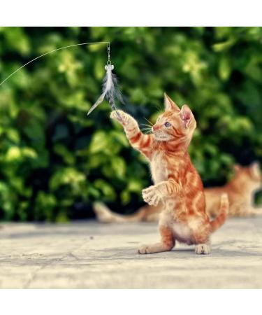MWOOT 6pcs Cat Feather Toys with Bells Feather Toys Spinning Attachment for Indoor Cats and Kitten Catcher Replacement Feather Refills with Bells Feather Cat Toys for Playing Catcher and Exercising - Buy Online on SooperMarket.com