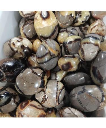 Home Decoration 1pcs Turtle Bay Palm CrystalStones Natural Carved for Feng Shui Stones ZJGIDTEM - Buy Online on SooperMarket.com