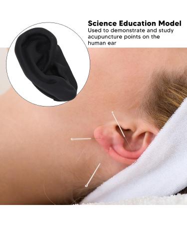Silicone Ear Model with Display Stand for Acupuncture Practice and Earring Display - Buy Online on SooperMarket.com