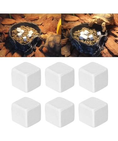 Premium Aquarium Calcium Stone - Essential Trace Elements for Turtles Snails & Reptiles - Ideal for Terrestrial Animals - Buy Online on SooperMarket.com