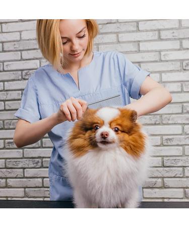 Professional 5 in 1 Dog Grooming Scissors Kit with Safety Round Tips - Stainless Steel Shears & Comb Set for Cats & Dogs | Blue - Buy Online on SooperMarket.com