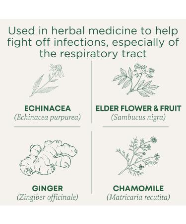 Traditional Medicinals - Organic Echinacea Plus Elderberry Herbal Tea (Pack of 6) - Help Fight off Respiratory Tract Infections - 96 Tea Bags Total Echinacea Plus Elderberry 16 count (Pack of 6) - Buy Online on SooperMarket.com
