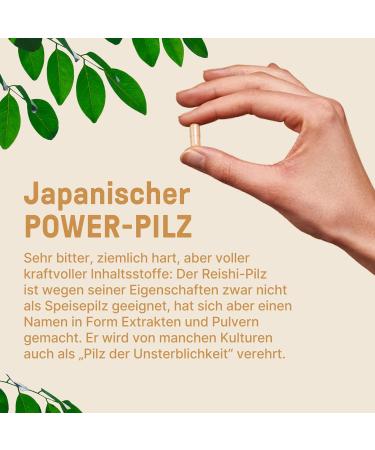 Premium Lion's Mane & Reishi Mushroom Capsules - 360 Count Complex for Enhanced Wellness | International Shipping - Buy Online on SooperMarket.com