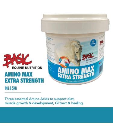 Amino Max (1 Kg) - Buy Online on SooperMarket.com