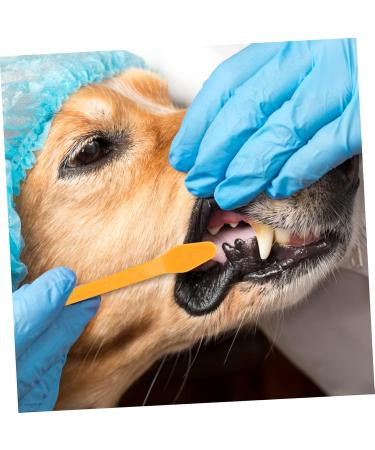 BCOATH 10pcs Puppy for Cat Pets Small Supplies Portable Nylon Clean Tooth Pet Dual-head Dog Brush - Buy Online on SooperMarket.com