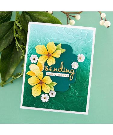 Spellbinders Four Petal Floral 3D Embossing Folder - Clear | Shop Now - Buy Online on SooperMarket.com