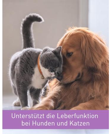 Lega Phyton 200 - Liver Support Tablets for Dogs & Cats | Silymarin Supplement | 24 Tablets - International Shipping Available - Buy Online on SooperMarket.com
