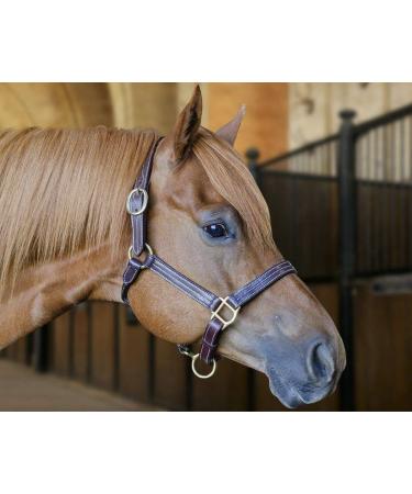 Derby Originals Coventry Triple Stitch Leather Halter - Full/Average Sizes - Buy Online on SooperMarket.com