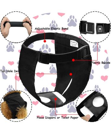 3-Way Pack Functions for Dogs - Washable & Durable Dog Accessories | Shop Now! - Buy Online on SooperMarket.com
