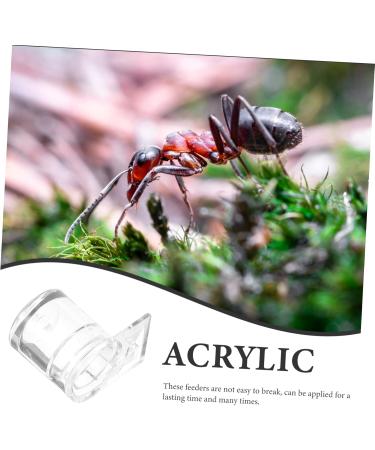 POPETPOP 4pcs Ant Water Feeder Pet Supplies Ant Habitat Science Acrylic Ants Feeders Little Ant Feed Water - Buy Online on SooperMarket.com