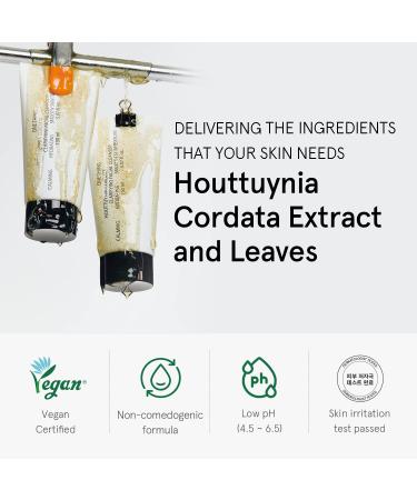 Houttuynia Cordata Clarifying Facial Cleanser 5 fl oz - Korean Skin Care for Acne Prone Oily Skin - Buy Online on SooperMarket.com
