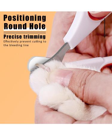 Tinkber 2-Pack Cat Nail Clippers - Stainless Steel Round Pet Nail Shears for Cats Puppies & Small Dogs - Blue & Orange - Buy Online on SooperMarket.com