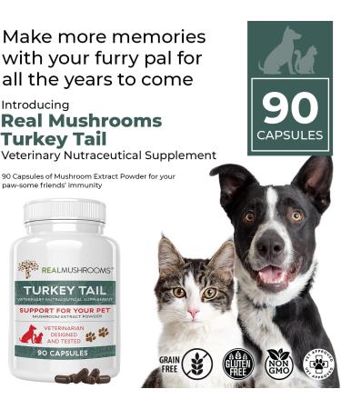 Turkey Tail Pet Support - Vet-Approved Dog Multivitamins for Immune & Gut Health (90ct) - Buy Online on SooperMarket.com