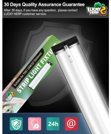 LUCKY HERP T5 Reptile Light Fixture Combo Kit 24W - 30% UVA + 10% UVB - 100-250V - Ideal for Amphibians, Tortoises, Lizards, and Bearded Dragons - Buy Online on SooperMarket.com