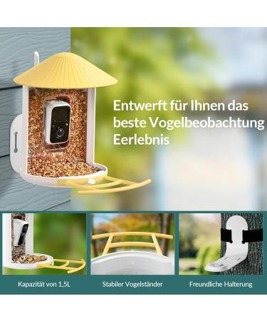 Birdfy Bird Feeder with Camera - AI Detection Video Recording & Solar Powered - Ideal for Wild Bird Feeding - Buy Online on SooperMarket.com