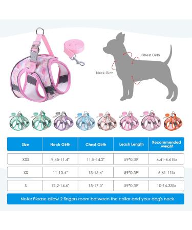 BriFit Cat Dishes with 150cm Leash - High Quality Breakfast Set for Cats & Small Dogs (Pink XS) - Perfect for Pets 6.61-1lb - Buy Online on SooperMarket.com