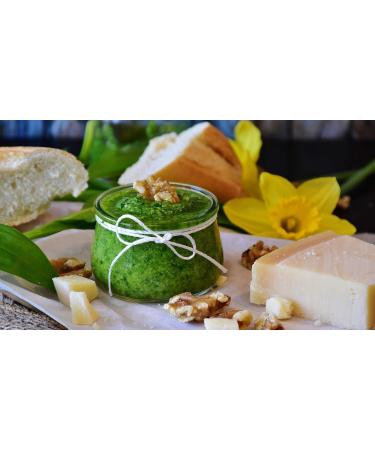 Bresc Wild Garlic Pesto - 3x450g | Flavor-Intensive Herbal Mixture for Cold & Warm Dishes - International Shipping Available - Buy Online on SooperMarket.com